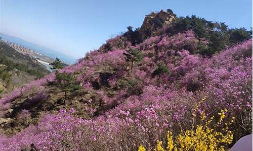 大珠山风景区门票预约_大珠山风景区门票预约电话